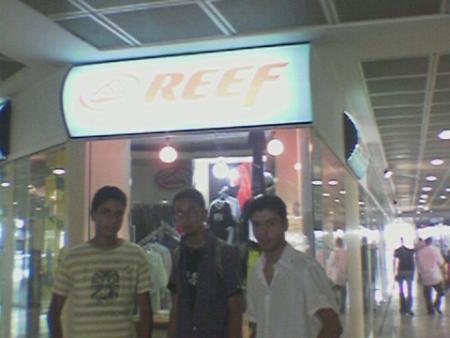 reef-reef-reef-reef-reef-reef