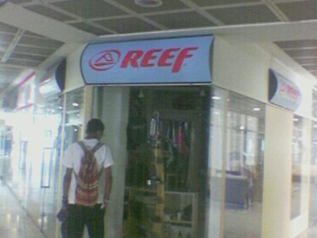 reef
